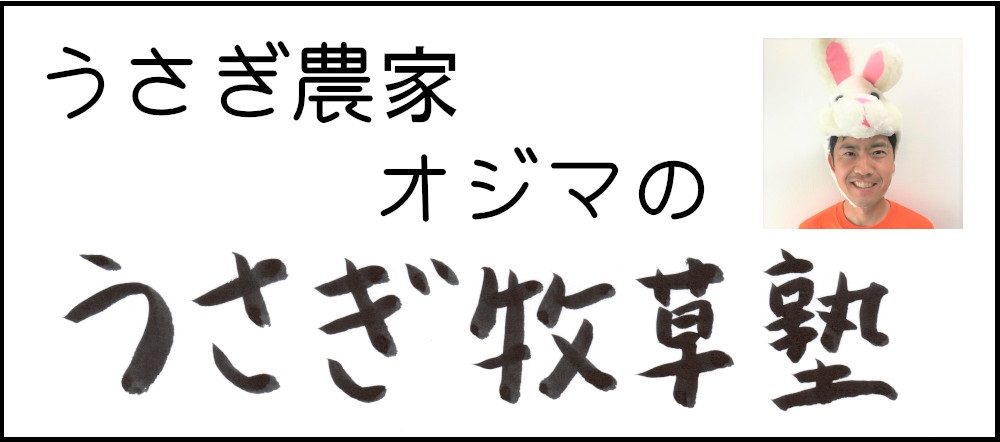 うさぎ農家オジマのうさぎ牧草塾 うさぎさんのために牧草を学びましょう