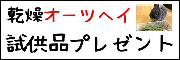 うさぎさんに好物をついついたくさん与えてしまいます うさぎ農家オジマのうさぎ牧草塾