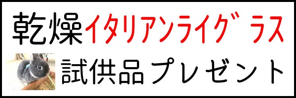 うさぎさんが牧草を食べ過ぎると問題が起きますか うさぎ農家オジマのうさぎ牧草塾