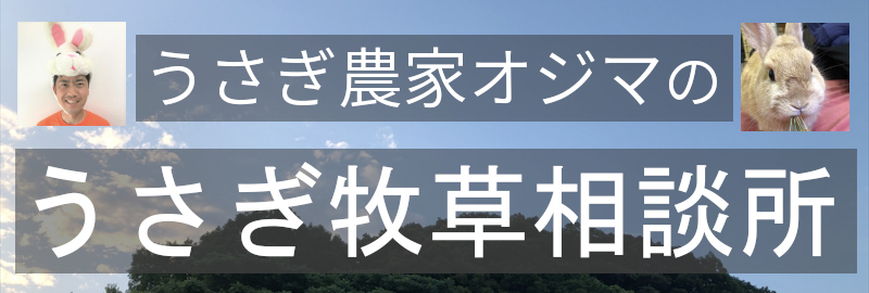 うさぎ牧草相談所