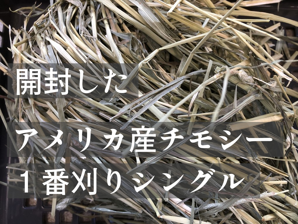 開封したアメリカ産チモシー１番刈りシングルプレス