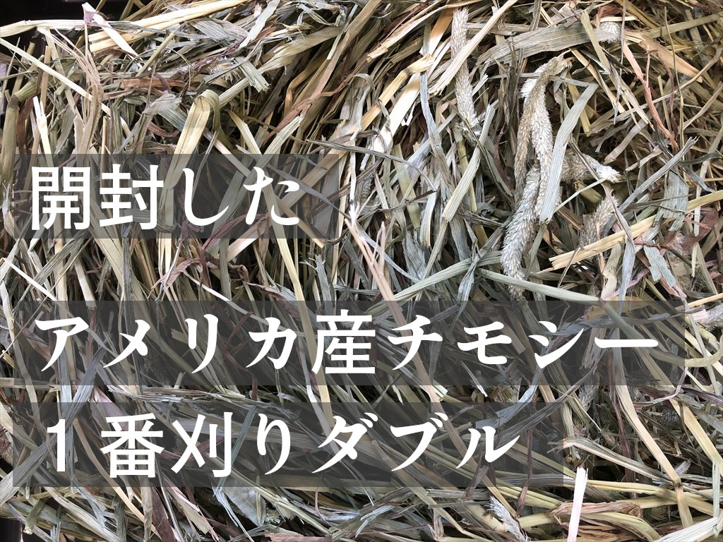 開封したアメリカ産チモシー１番刈りダブルプレス