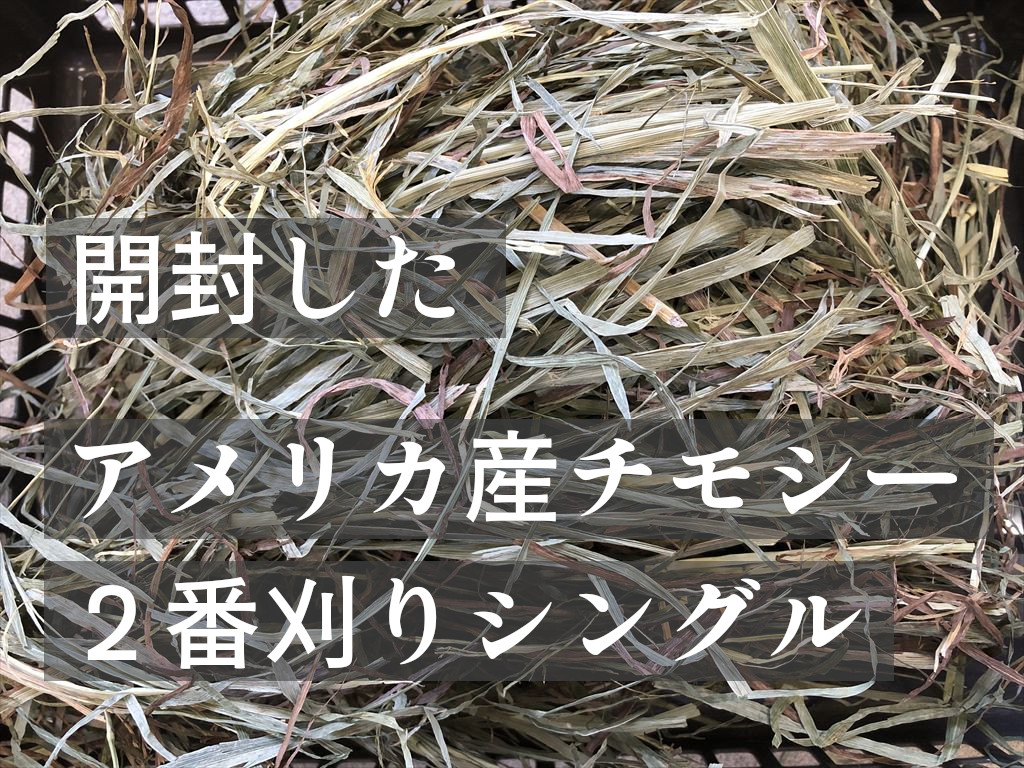 開封したアメリカ産チモシー２番刈りシングルプレス