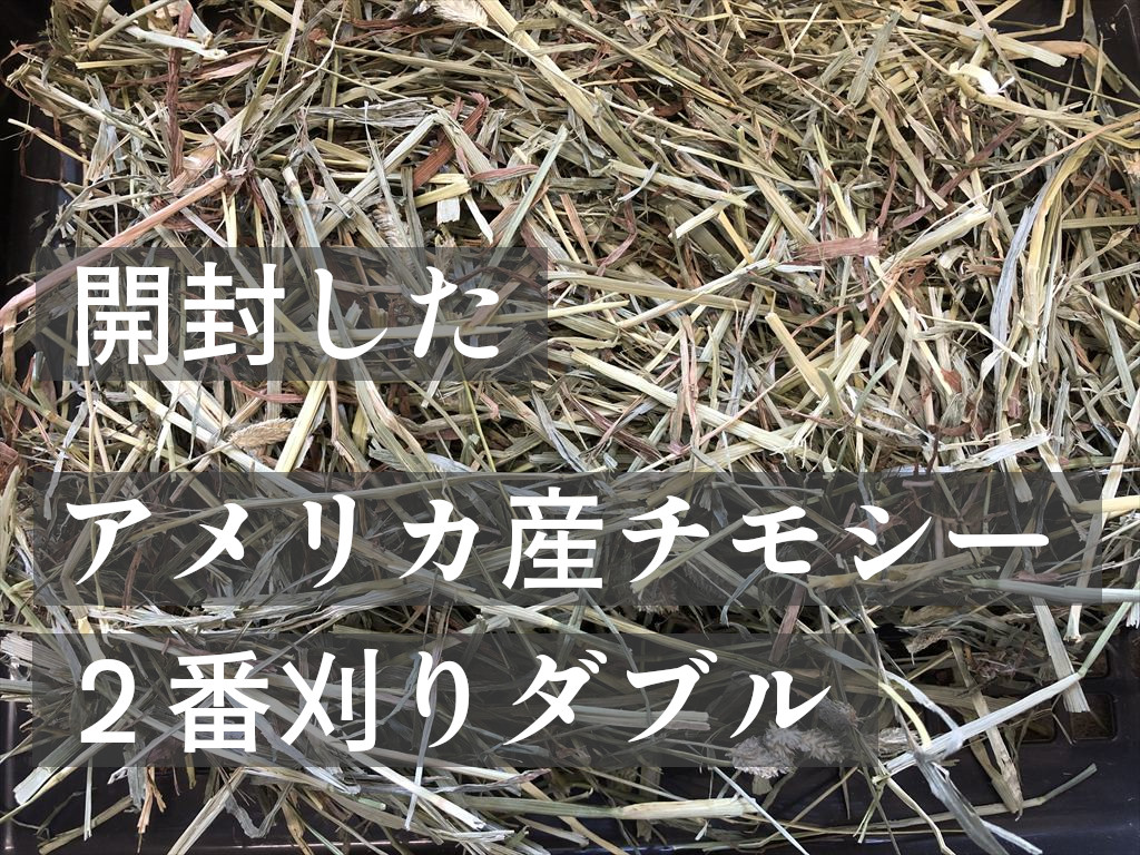 開封したアメリカ産チモシー２番刈りダブルプレス