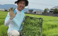チモシー収穫するうさぎ畑オジマ