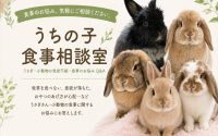 うちの子食事相談室