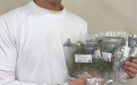 うさぎ畑のお試し牧草