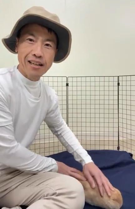 うさぎと映るうさぎ畑オジマ