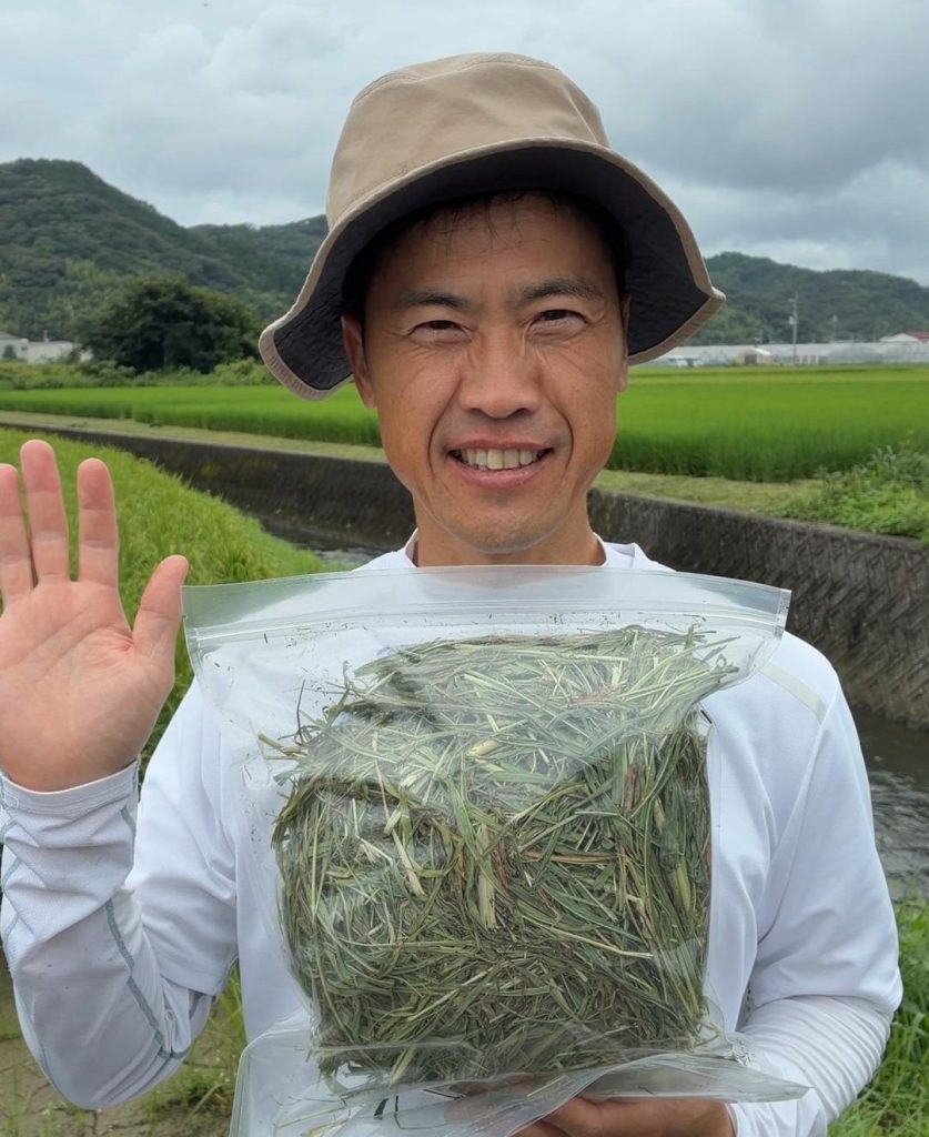 牧草を持つうさぎ畑オジマ