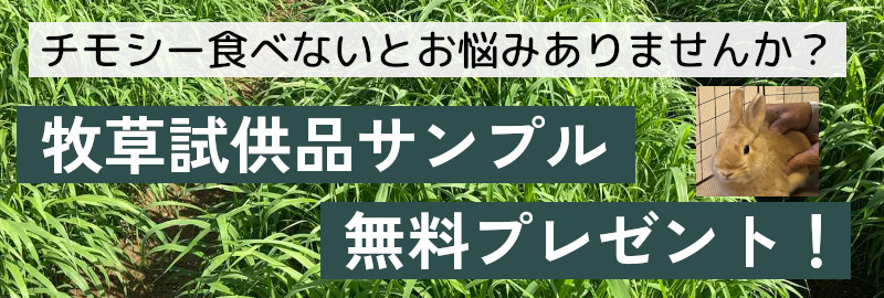 牧草試供品サンプル無料プレゼント