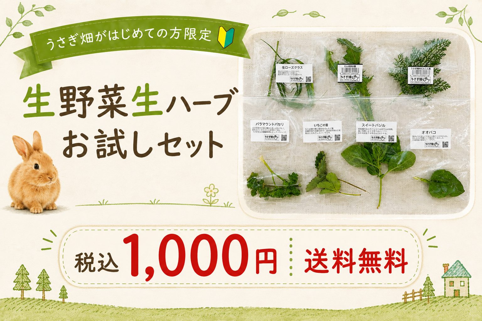 生野菜生ハーブお試しセット