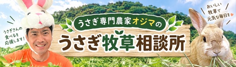 うさぎ専門農家オジマのうさぎ牧草相談所
