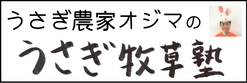 うさぎ農家オジマのうさぎ牧草塾