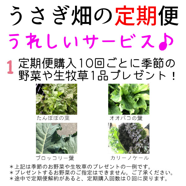 定期便の野菜 種類が増えました うさぎ畑オンラインショップ にんじん葉と生牧草農園